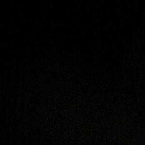 Meet your Posher, Dylan